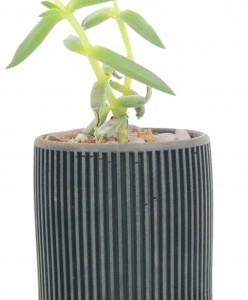 Mini Çiçek Saksı Küçük Sukulent Siyah Kaktüs Saksısı Düz İnce Çizgili Model